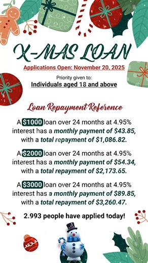 15 reactions | Make your Christmas merry and bright!  Apply now for fast approval and get the funds you need for a joyful holiday! | Cash Assist | Facebook