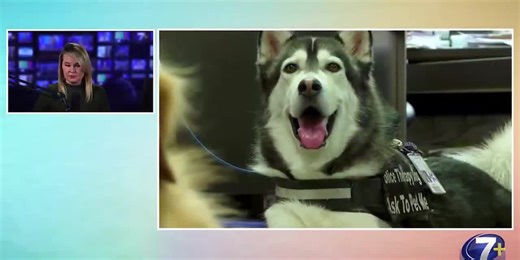 Morning Extra: Top Stories from Wed. Jan. 8