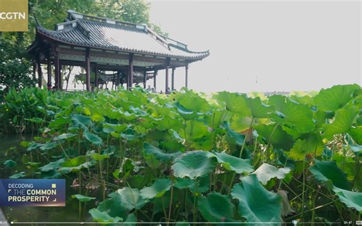 Video 1( Decoding the Common Prosperity What is China's Common Prosperity