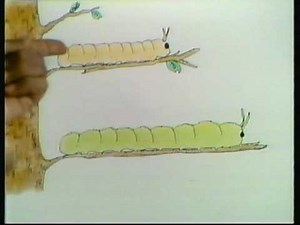 Bill Cosby's Picture Pages: B1