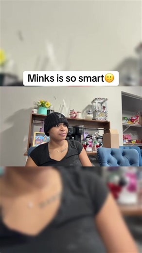 Minks: The Clever Homework Helper