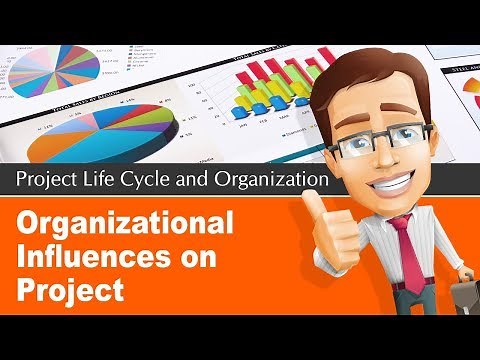 2.4 Organizational Influences on Project Management | What is PMP?
