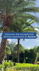 Discover the exceptional dining experience at Aurora, the full-service restaurant within the AAA Four Diamond The Celeste Hotel . Aurora stands out in Orlando with its immersive concept, vibrant flavors, stunning ambiance, and refined service. Emphasizing fresh, locally sourced food, Aurora is a dazzling highlight of the Celeste Hotel experience. #Dining #OrlandoEats #CelesteHotel #AuroraRestaurant #FoodieFavorites | AAA