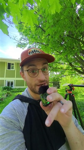 GoPro Mission 1 at 960 FPS is insane 🤯 Birds in Flight