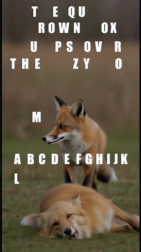 The Quick Brown Fox Jumps Over The Lazy Dog
