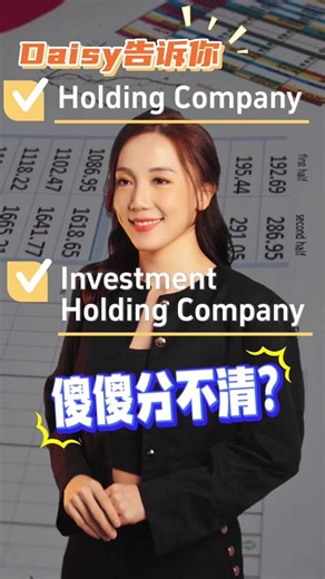 Holding vs. Investment Holding Company Explained | 业务是支持或管理子公司