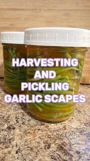 63K views · 1K reactions | Today I harvested and pickled my garlic scapes. #garden #gardening #pickling #garlic | Dirty Punk Gardening | Facebook