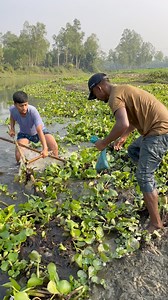 2.3K views · 12 reactions | Traditional Swamp Fishing Technique in Rural Bangladesh | RMB Fishing | Facebook