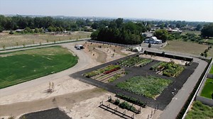 99K views · 7.1K reactions | Planting A Wichita Blue Juniper and Blue...