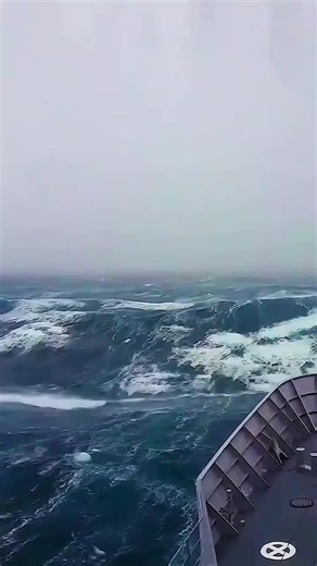 Exploring the Biggest Ship in the North Ocean