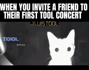 “Who’s already been to a show on this tour? Was it your first Tool experience, or did you bring a friend for theirs?” TOOL the Most Extraordinary Band . . . . . . . . . . . . . . . . . . . . . . . . . . . . . . . . . . . . . . . . . . . . . . #Tool #ToolBand #ToolArmy #MaynardJamesKeenan #DannyCarey #AdamJones #JustinChancellor #ProgressiveRock #ProgMetal #AlternativeMetal #Opiate #Undertow #Ænima #Lateralus #Salival #10000Days #FearInoculum #FacebookReels #RockReels #MusicReels #ToolFans #ToolL