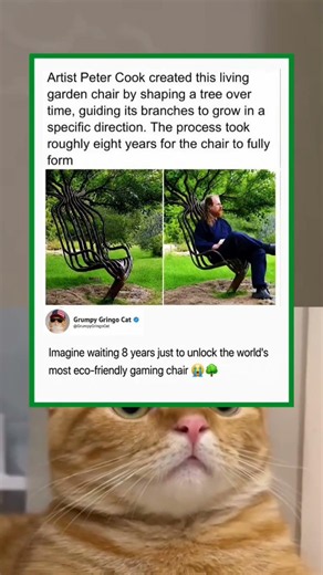 waiting 8 years for a chair 💀 | funny memes | dank memes | relatable american memes