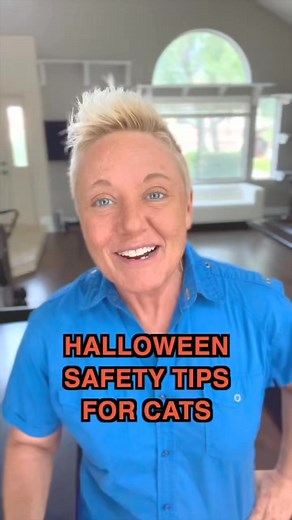 6.4K views · 77 reactions | Cat Tip of the Day: What are you doing to keep your cats safe this Halloween? ‍⬛ | The Two Crazy Cat Ladies | Facebook