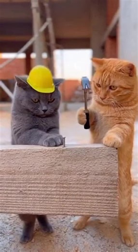 Z Gamer (@zgamer71)’s videos with original sound - Z Gamer