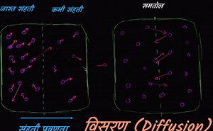 विसरण (व्हिडिओ)