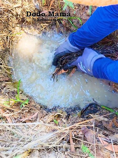 Extreme Drain Pipe Cleaning with Soothing Water Sounds