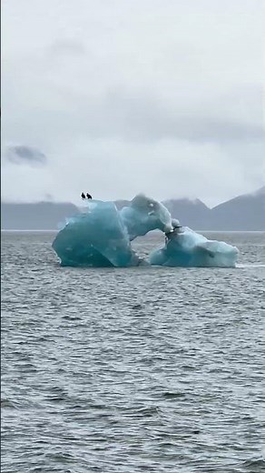 Amazing checking out the ice bergs near Columbia Glacier in PWS! 🦅 ⛵️ #boatlife #sailaway #alaska