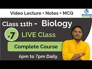 Lymph & Nervous Tissue | Lecture 45 | Class 11 Biology NCERT | Bhushan Science