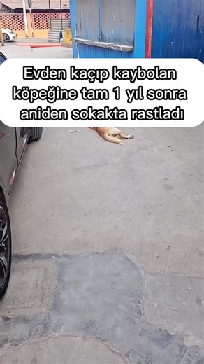 GÜLMƏLİ VƏ MARAQLI VİDEOLAR (@super.videolar1)’s videos with orijinal ses - GÜLMƏLİ VƏ MARAQLI VİDEOLAR