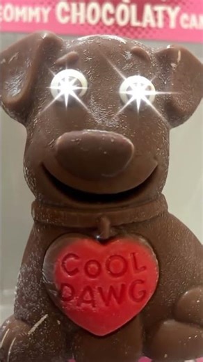 Dog woof chocolate inanimate