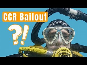 Deep CCR Bailout: Your Questions Answered