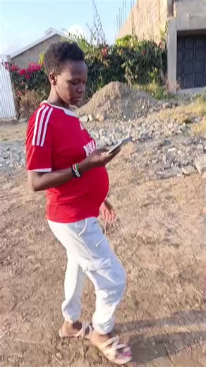 Exploring Unique Zebra Facts