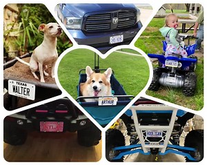 Personalized New York License Plates - Any Name, Choose Your Plate Size, Enter the Name/text . Order Today Ready to Ship Next Business Day - Etsy