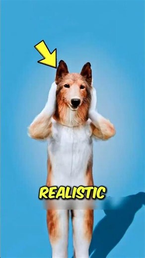 He Paid $15,000 To Live As A DOG! 🐶😱 #crazystory #viralstory #weirdstory