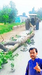 84K views · 1.9K reactions | tractor is pulling the tree  | #short #ytshorts #shortsvideos | Muhammad Arif | Facebook