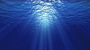 Hd Underwater Background Stock Footage Video (100% Royalty-free) 2155319 | Shutterstock