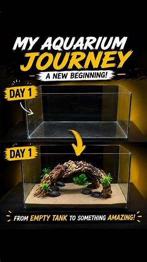 Fish Tank Setup || From Empty Tank to Beautiful Setup! ✨🐟🐠