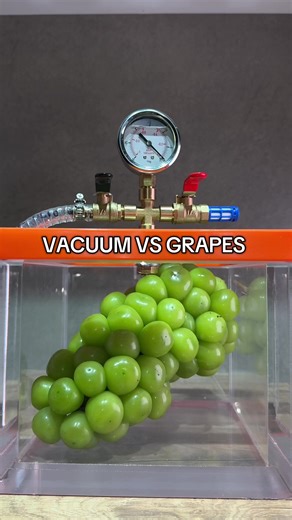 Vacuum vs grapes #experiment #vacuumasmr #vacuum