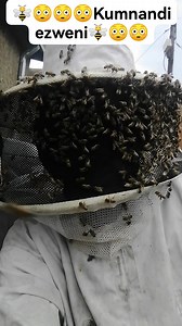 108 reactions · 9 comments | Kushube ngempela weynkab zami | Frank Mxolisi Masondo | Facebook