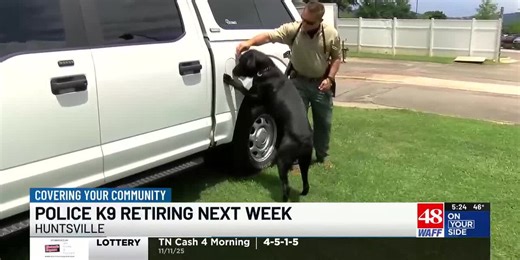 Boomer, HPD’s bomb detector dog, completes final parade duty before retirement