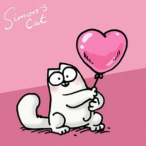 182K views · 10K reactions | Express your chat with Simon's Cat!...