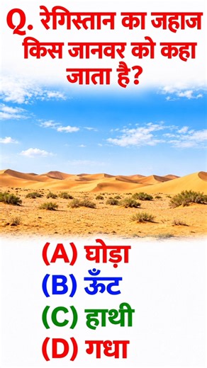 GK Questions || Questions And Answers || General Knowledge Quiz || Official Gk Study ||