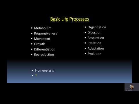 01b Basic Life Processes
