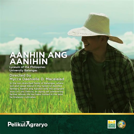 Aanhin ang Aanihin Directed by: Mycca Daenielle D. Macalalad Lyceum of the Philippines University – Batangas In the sun-drenched fields of Batangas, where soil and sweat blend in the hands of devoted farmers, Aanhin ang Aanihin tells the poignant story of Lolo Dencio, an aging yet unwavering farmer whose life has been rooted in the land he tirelessly cultivates. Mahalagang Paalala: • Tanging LIKE at HEART reacts sa individual teasers sa post na ito ang bibilangin bilang boto. • Tatanggap ng boto