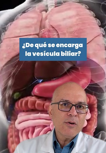 Cálculos biliares: causas, síntomas y soluciones