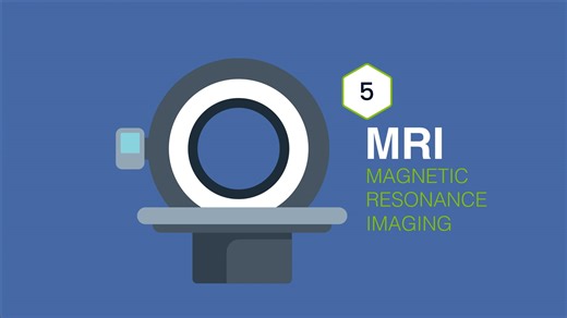 MRI Imaging Modality in Veterinary Medicine
