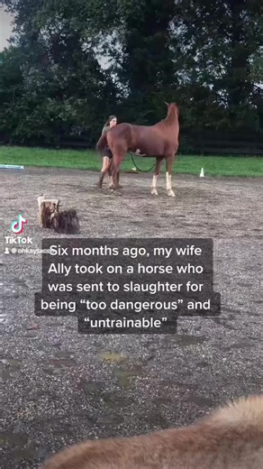 210K views · 10K reactions | ITS GIVING TUESDAY!SHARE THIS POST!Can...