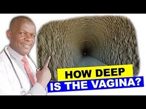 What is the Average Vaginal Size? How Deep is the Vagina?