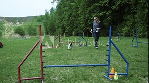 Sequence with slow motion racing in competition, animal agility race with dog running and doing slalom. Sequence with slow motion