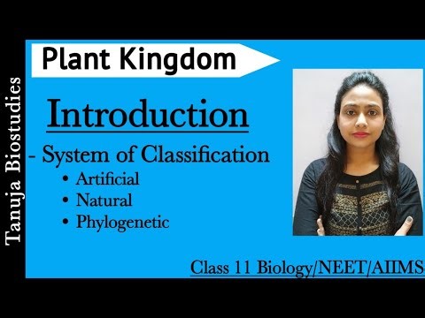 Ch-3 Plant Kingdom - Introduction | System of Classification | Class 11 Biology/NEET/AIIMS