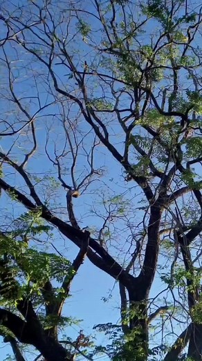 Daylight Lyrics by Taylor Swift | Music Video