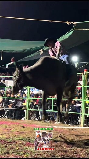 Huicho Jr vs Costeño de Rancho La Cienega #jaripeo