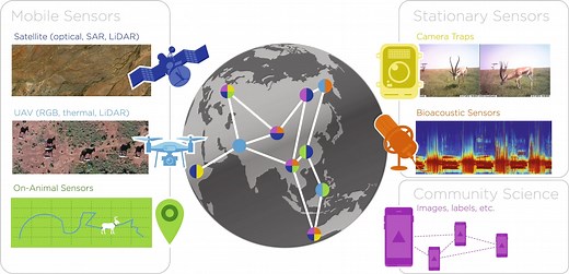 AI in conservation: Where we came from and where we are heading