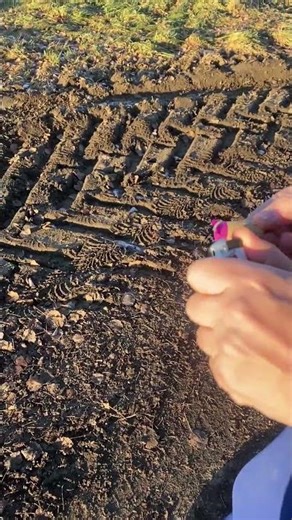 C4 small 0,8g #firecracker #fireworks #pyro #pyrotechnics #c4 #explosion #firecrackertesting #boom