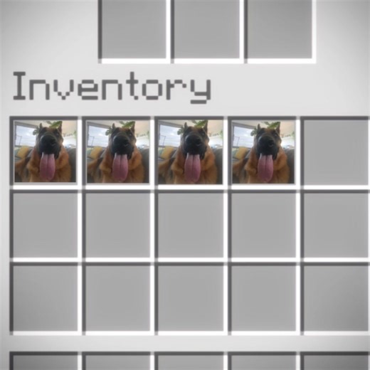 Understanding Your Dog's Whining Behavior