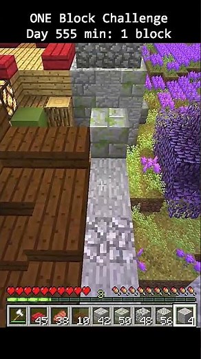 Day 555 Minecraft build challenge - ONE BLOCKS BUILD